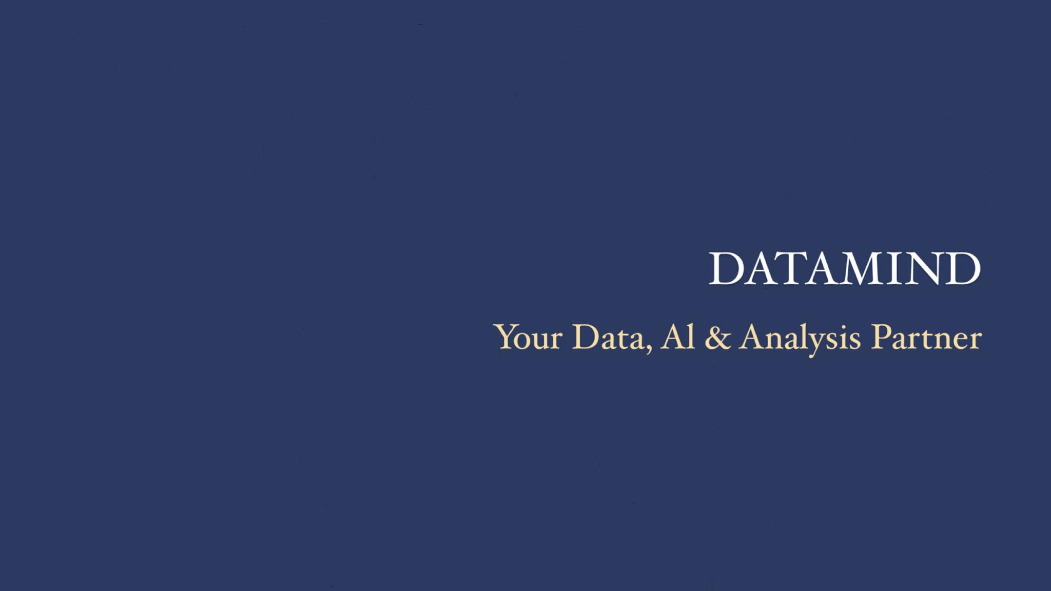 Datamind - დატამაინდი | Tbilisi