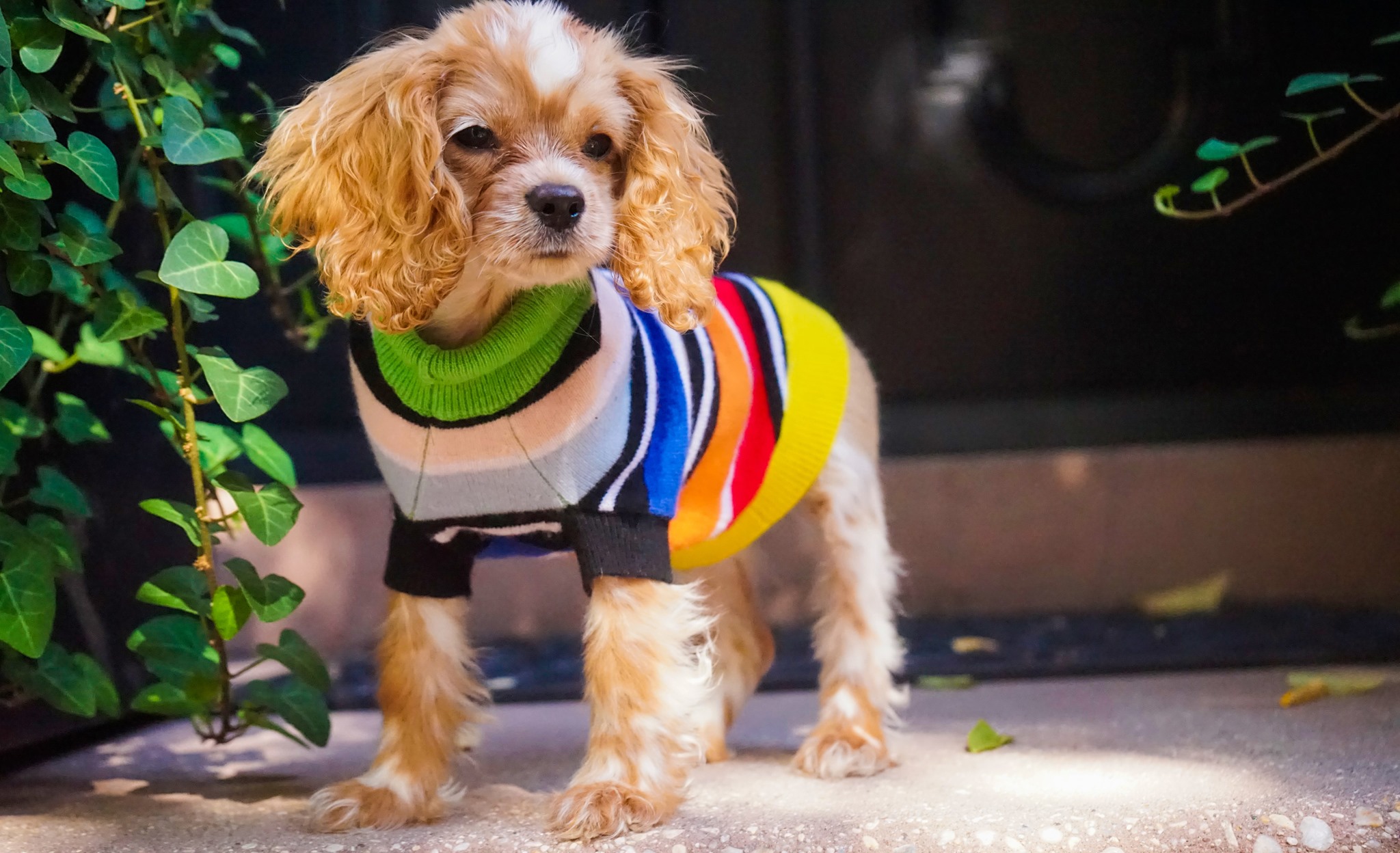 RUBY RUFUS | New York NY