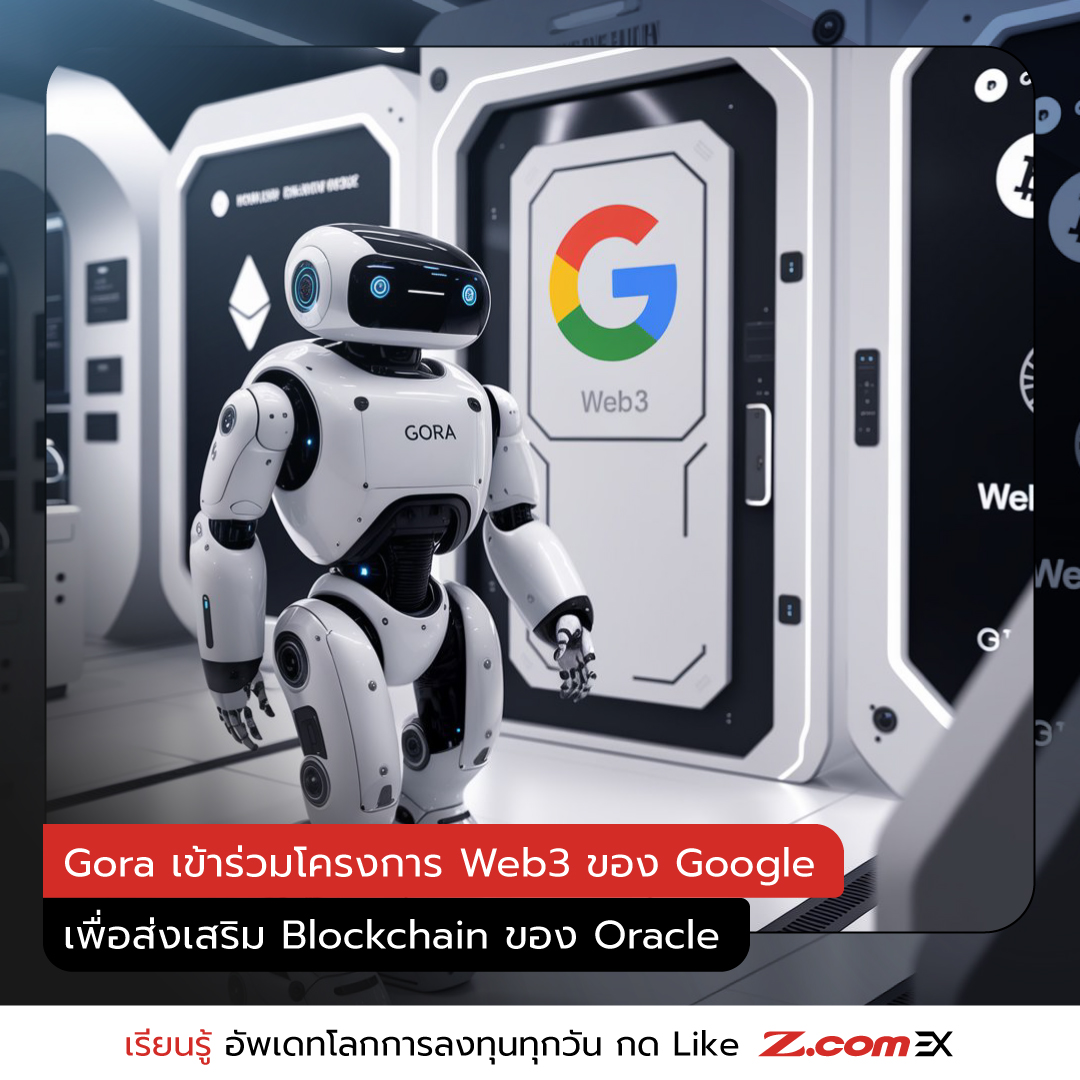 Z.com EX - 🔗🌐 Gora เป็นเครือข่าย Oracle... | Facebook