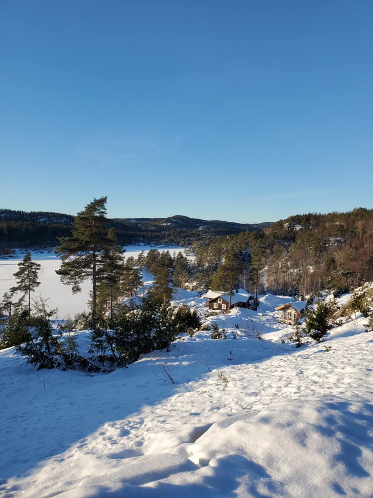 Okseliene Hyttefelt- Indre Risør Skjærgård As | Risør