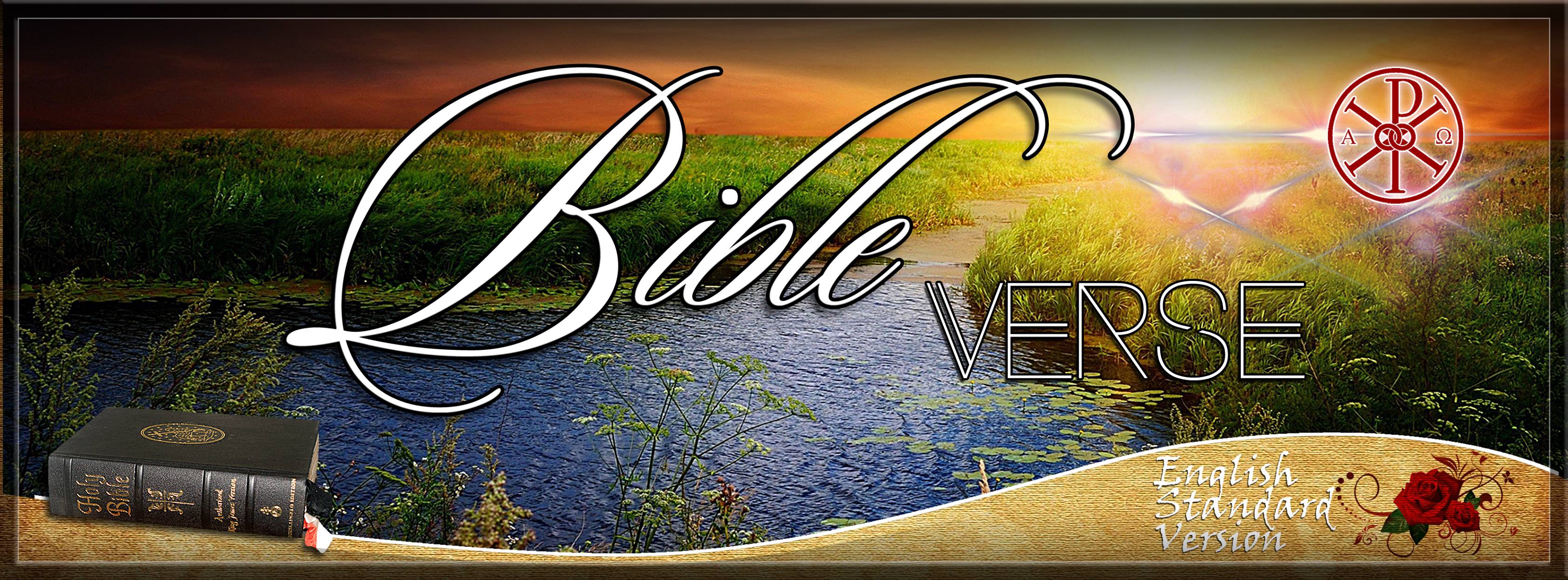 Bible Verse