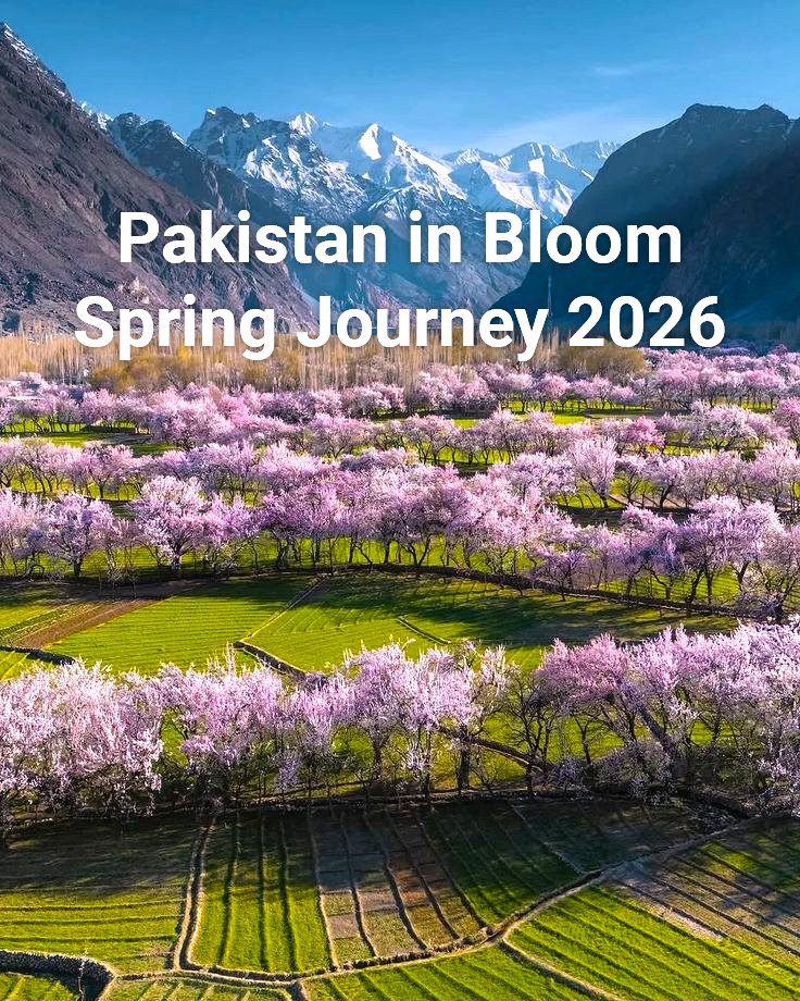 Pakistan in Bloom – Spring Journey 2026