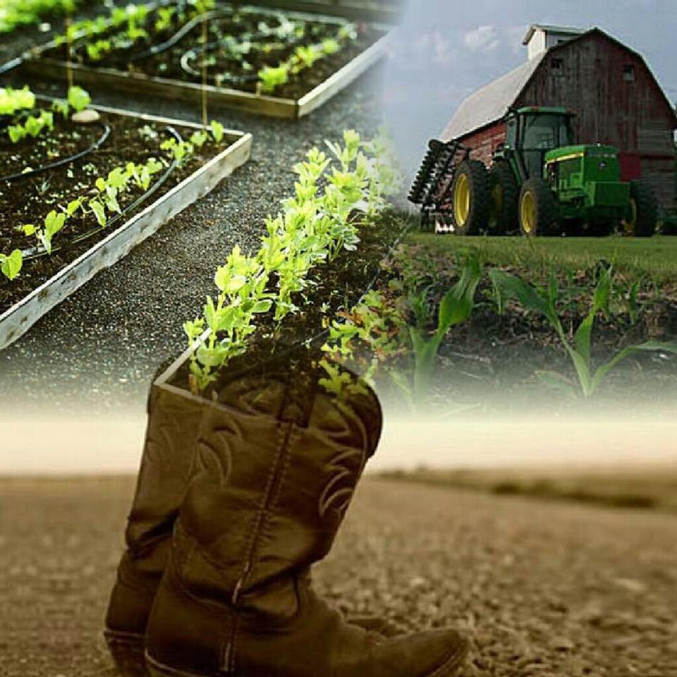 Newberry Ag Expo | Newberry SC