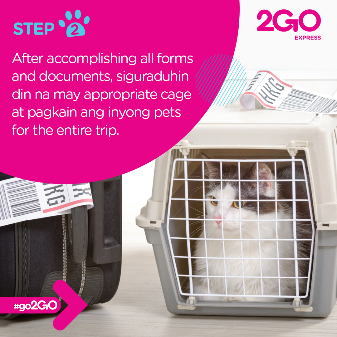 2GO Express, Inc.