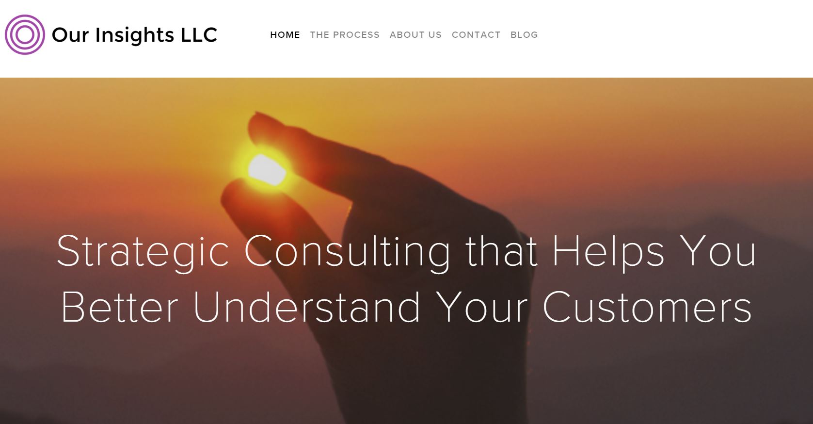 Our Insights LLC