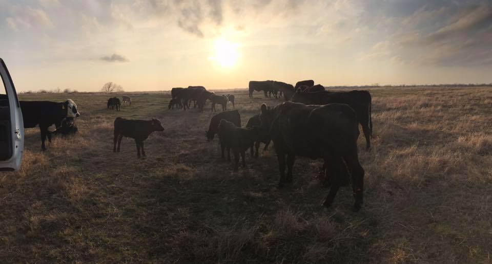 Rockin’ 4W Ranch | Roff OK