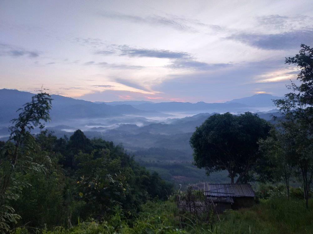 Anggit Purwoto