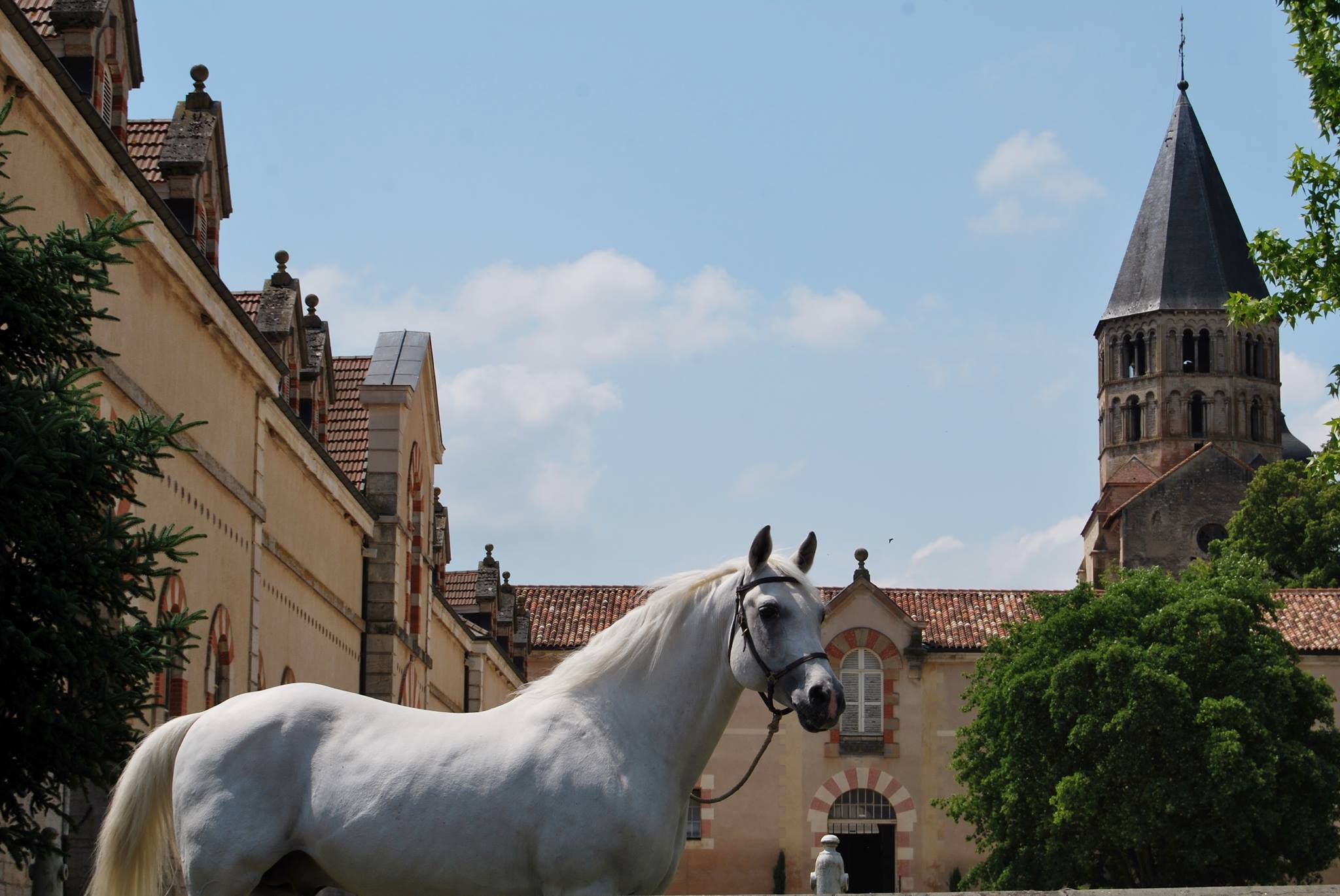 Haras National De Cluny évènements à Venir