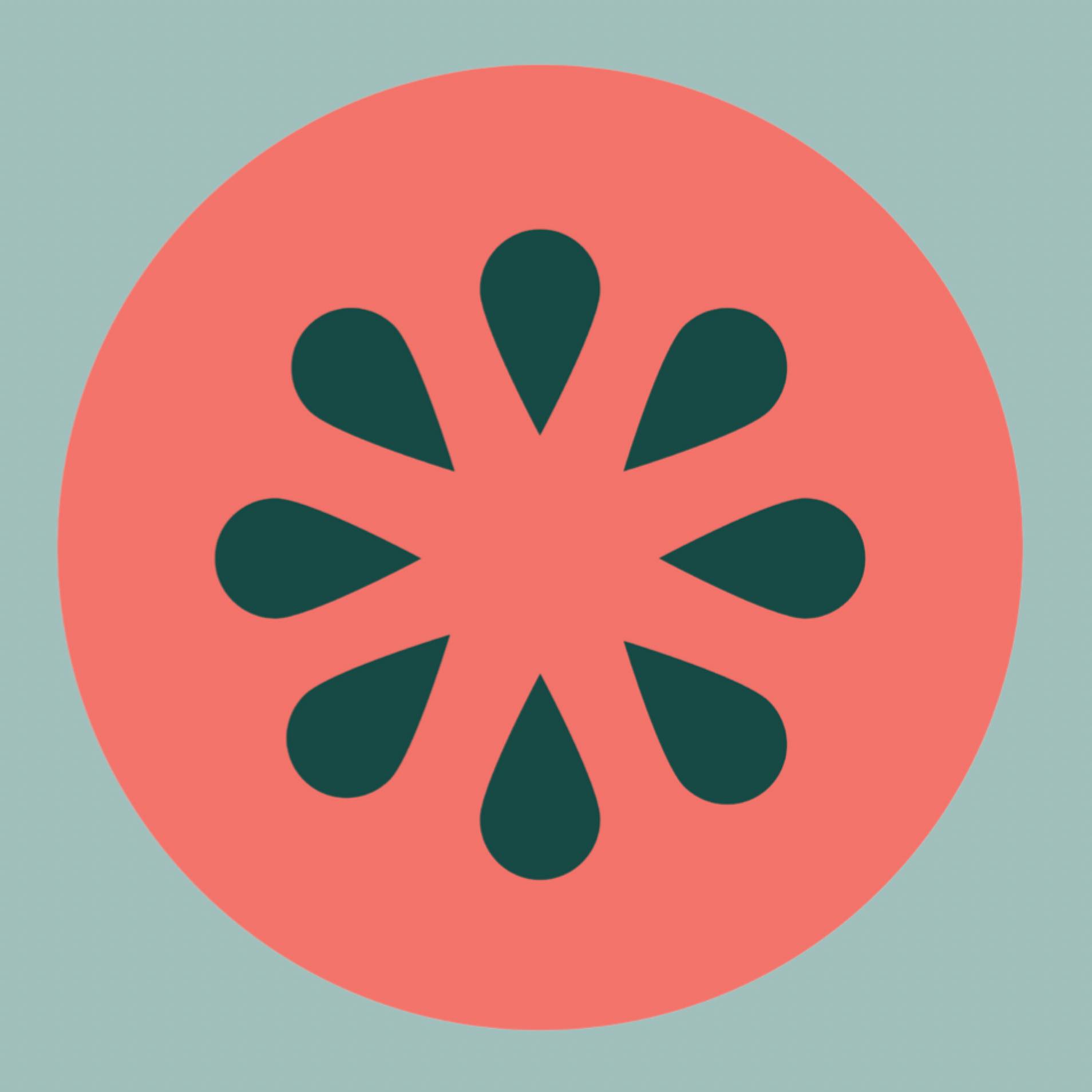 Wild Melon - New graphics loading… Our Cozy Collection... | Facebook