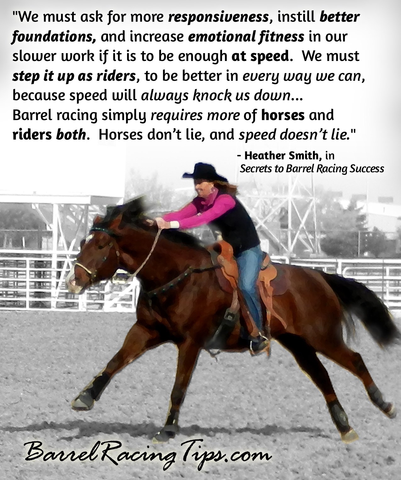 'The Barrel Racer's Guide to... - Barrel Racing Tips.com | Facebook