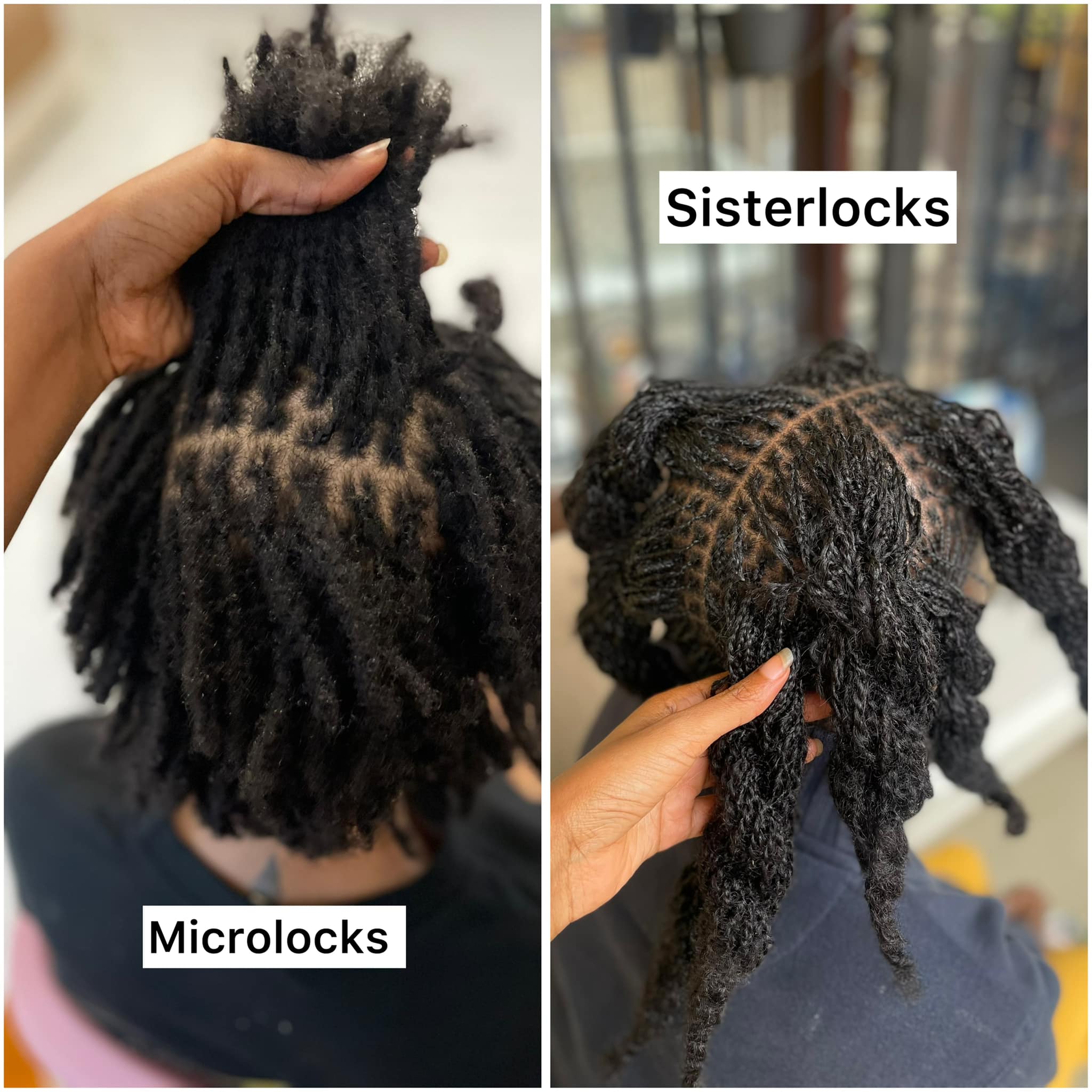 SUKI - Sisterlocks vs. Microlocks: Quelle est la Différence? Les ...
