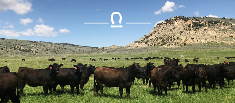 LU Ranch