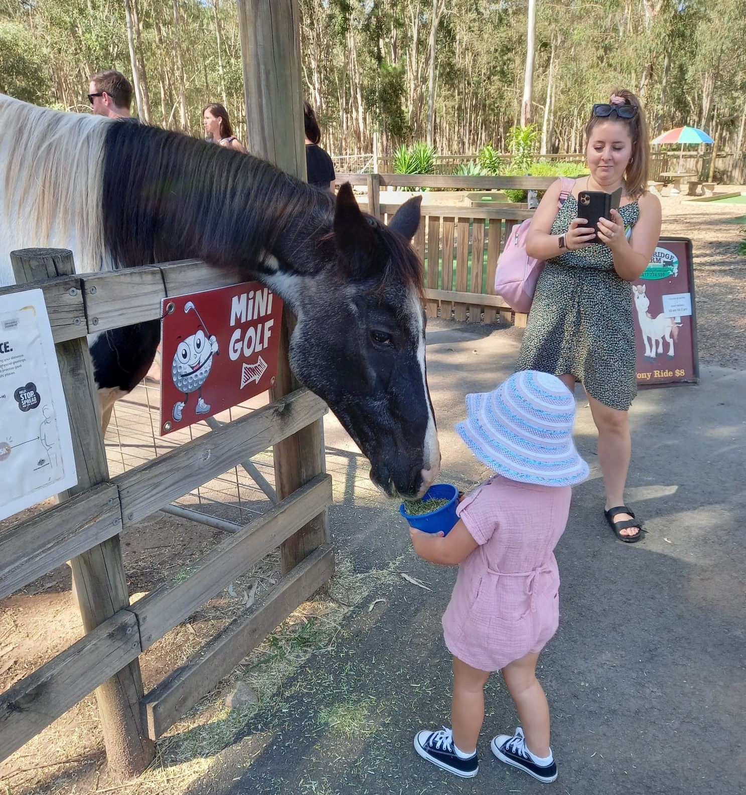 The weather is perfect for a visit to... - White Ridge Farm | Facebook
