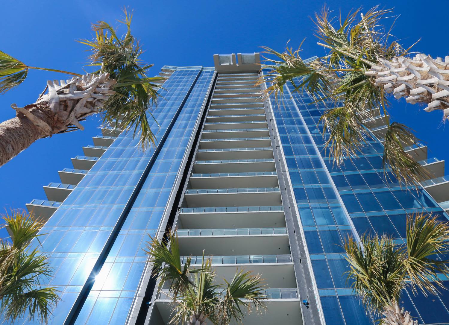 View of Dallas High Rise Rentals