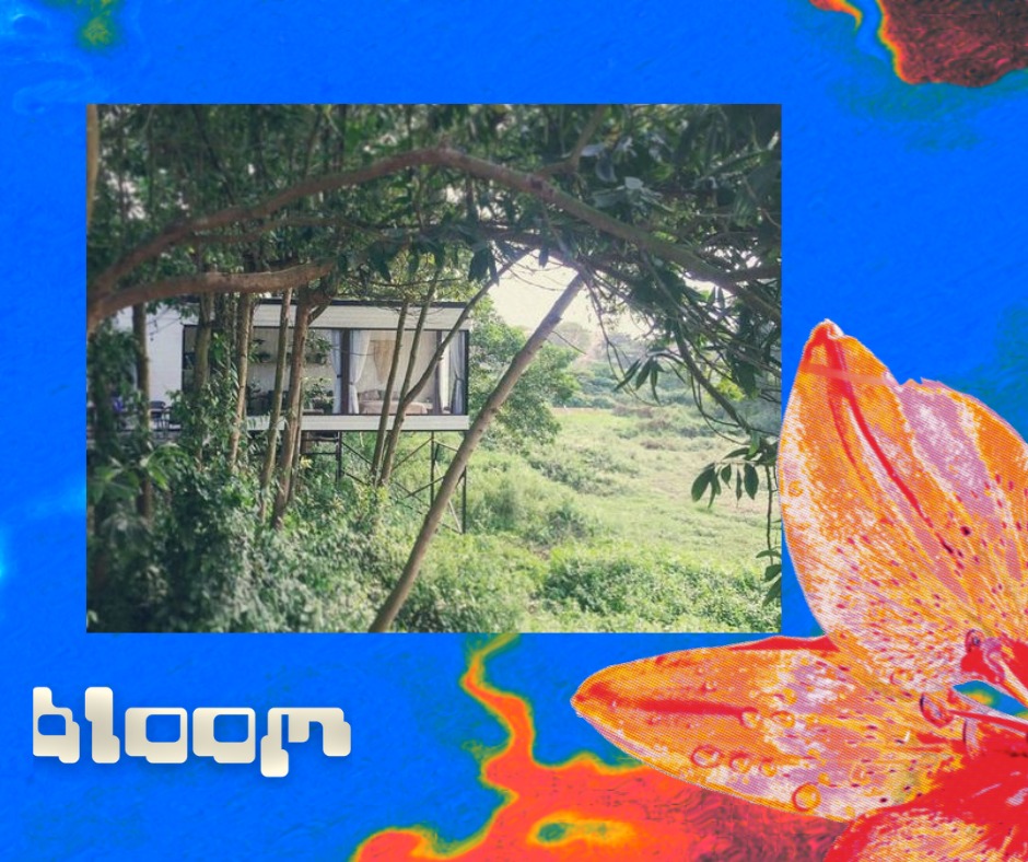 Bloom - Bloom • Ritual Alchemy • Retreat To retreat is to... | Facebook