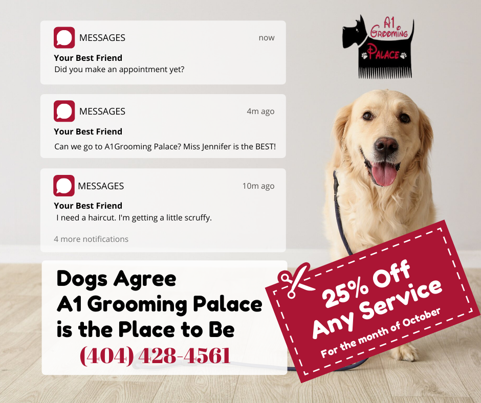 A1 Grooming Palace Home