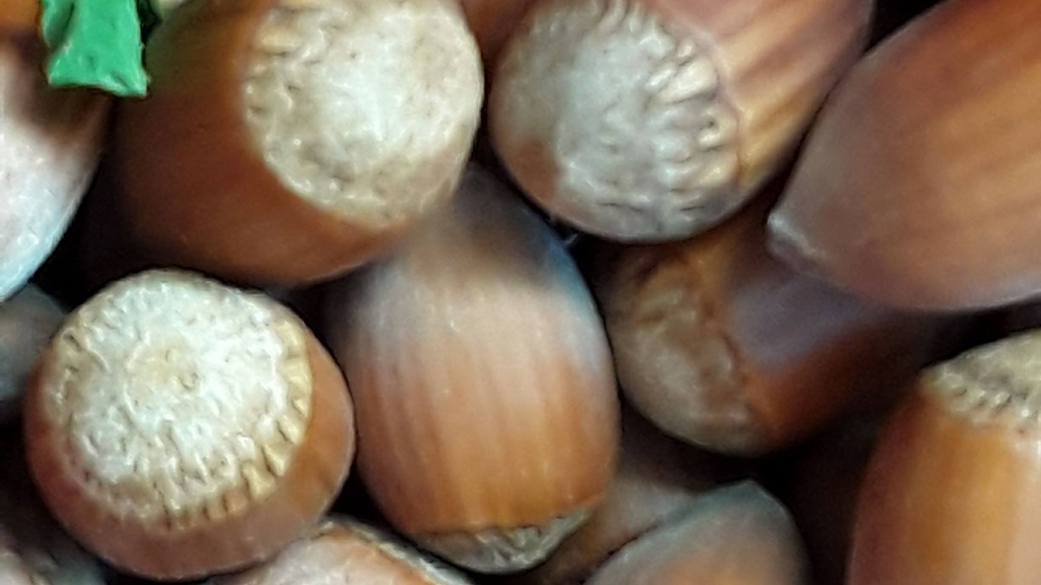 Gordanova kuhinja - CRNI NJOKI BIJELA RIBA Ovo je jedno super jelo koje ...