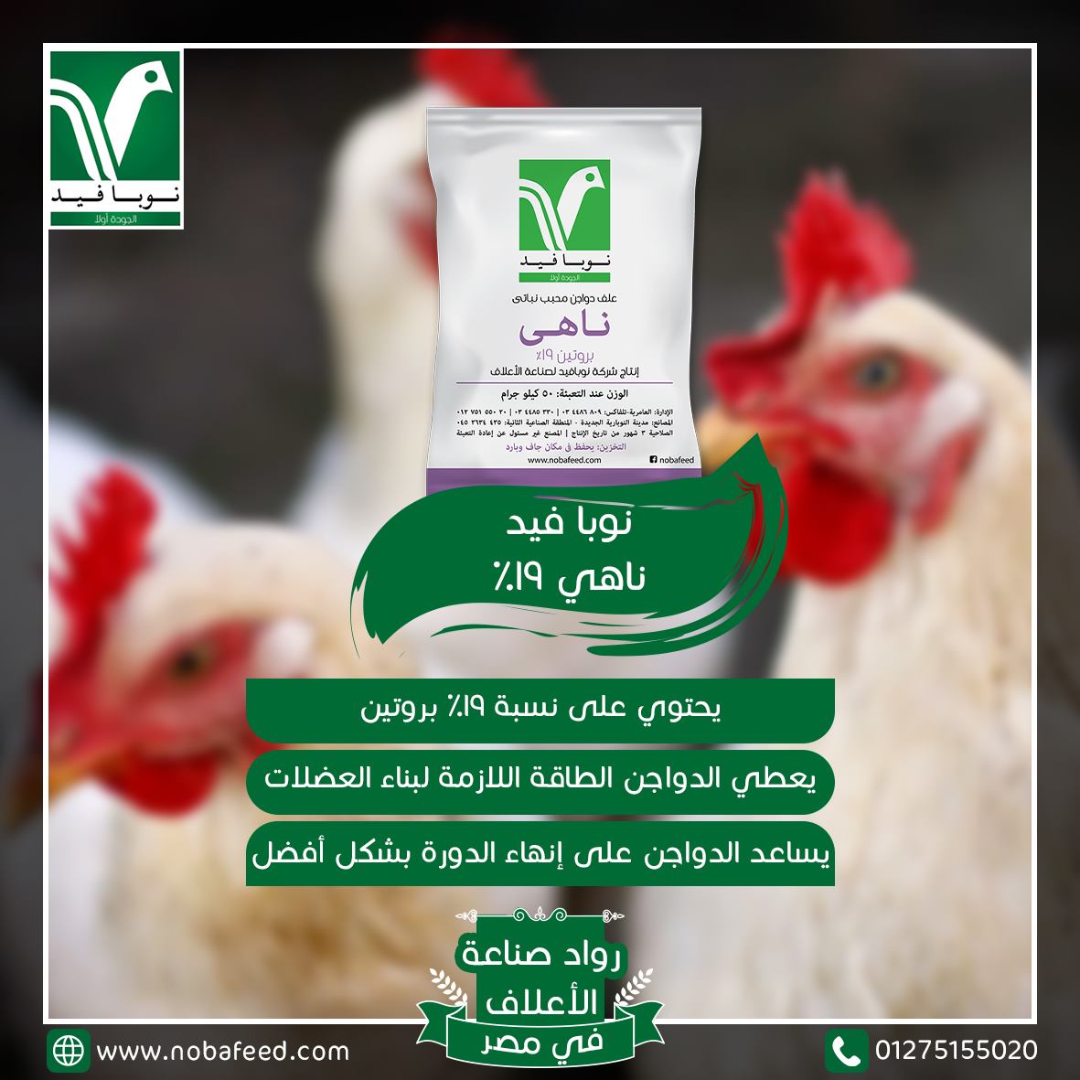 نوبا فيد ناهي ١٩٪ هو علف مخصص... - Noba feed - نوبا فيد