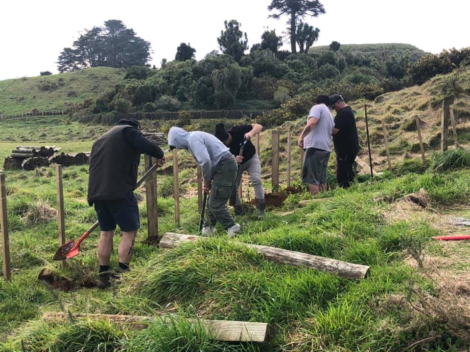 Rongo Taua - Introducing Rongo Taua Matua Whitz Kerehoma: Ko whitikama ...