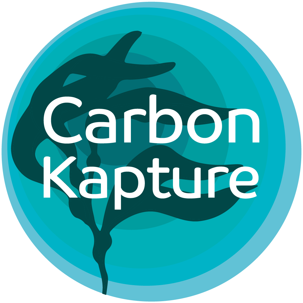 Carbon - Did you know that today is... International #Seaweed Day. A ...