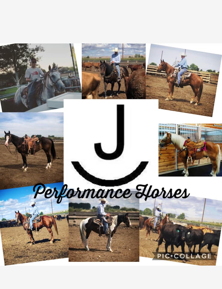 Rockin'J Performance Horses | Kennewick WA