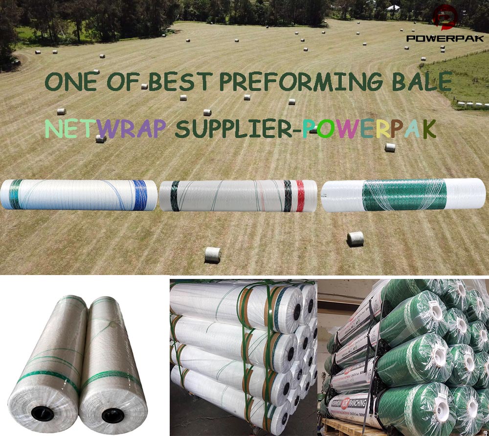 Ningbo Powerpak New Material Technology Co.,Ltd | Ningbo