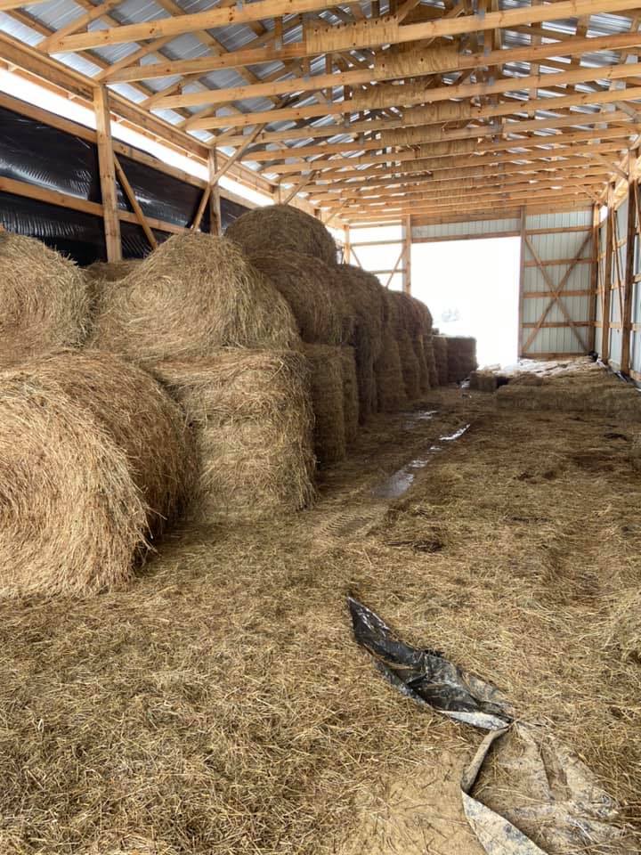 Mayabb logging,farms and firewood | Hazel Green KY