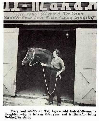 Arabian Horse Historical Photos - Bazy Tankersley purchased her first ...
