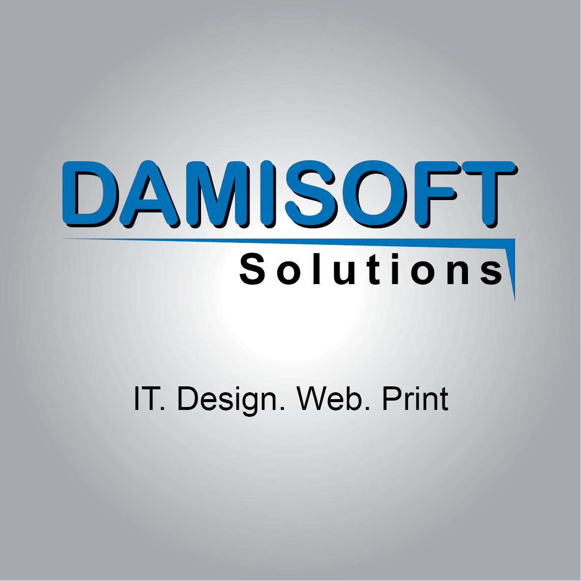 Damisoft Solutions