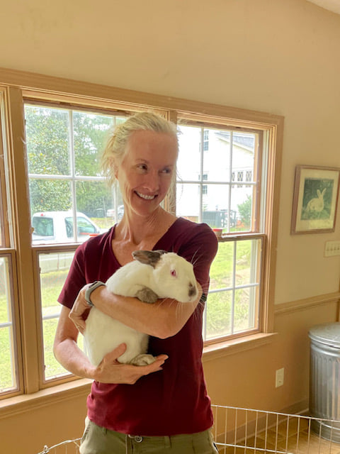 Meet Holly! She arrived at the... - Rabbit Sanctuary