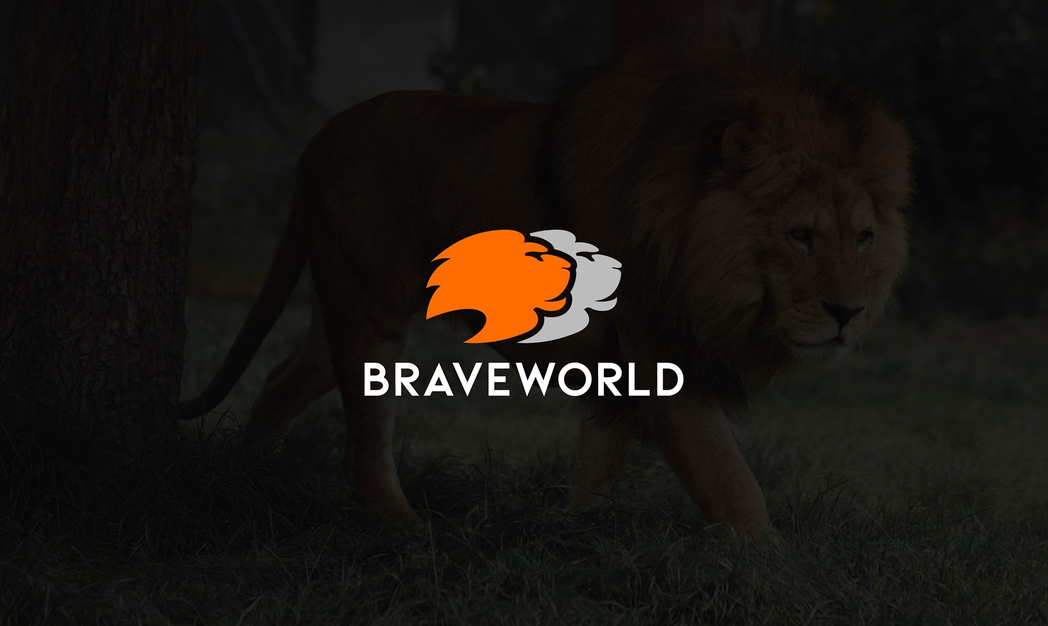 BWorld | Skopje