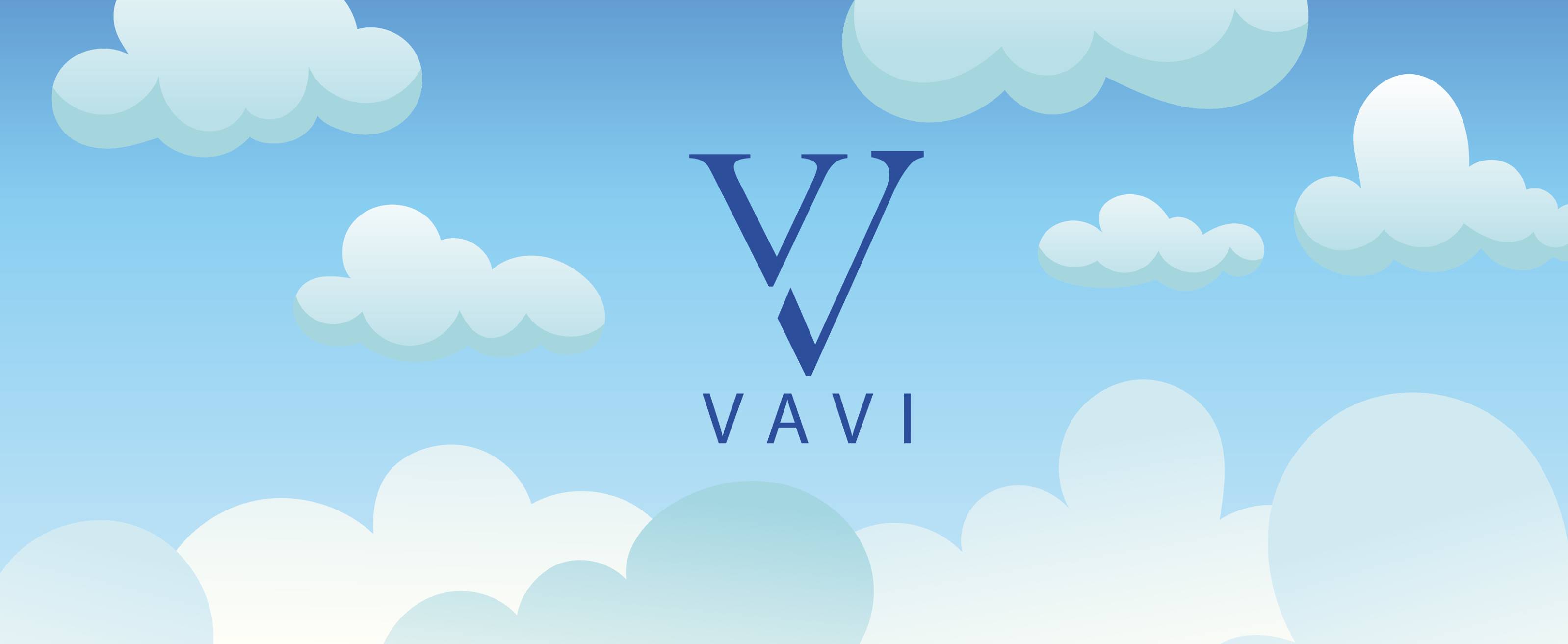 VAVI Colchas Mexicanas