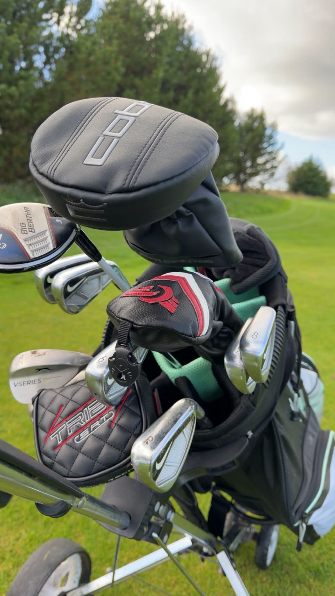 Temu hybrid and Cobra DMax driver golf bag setup