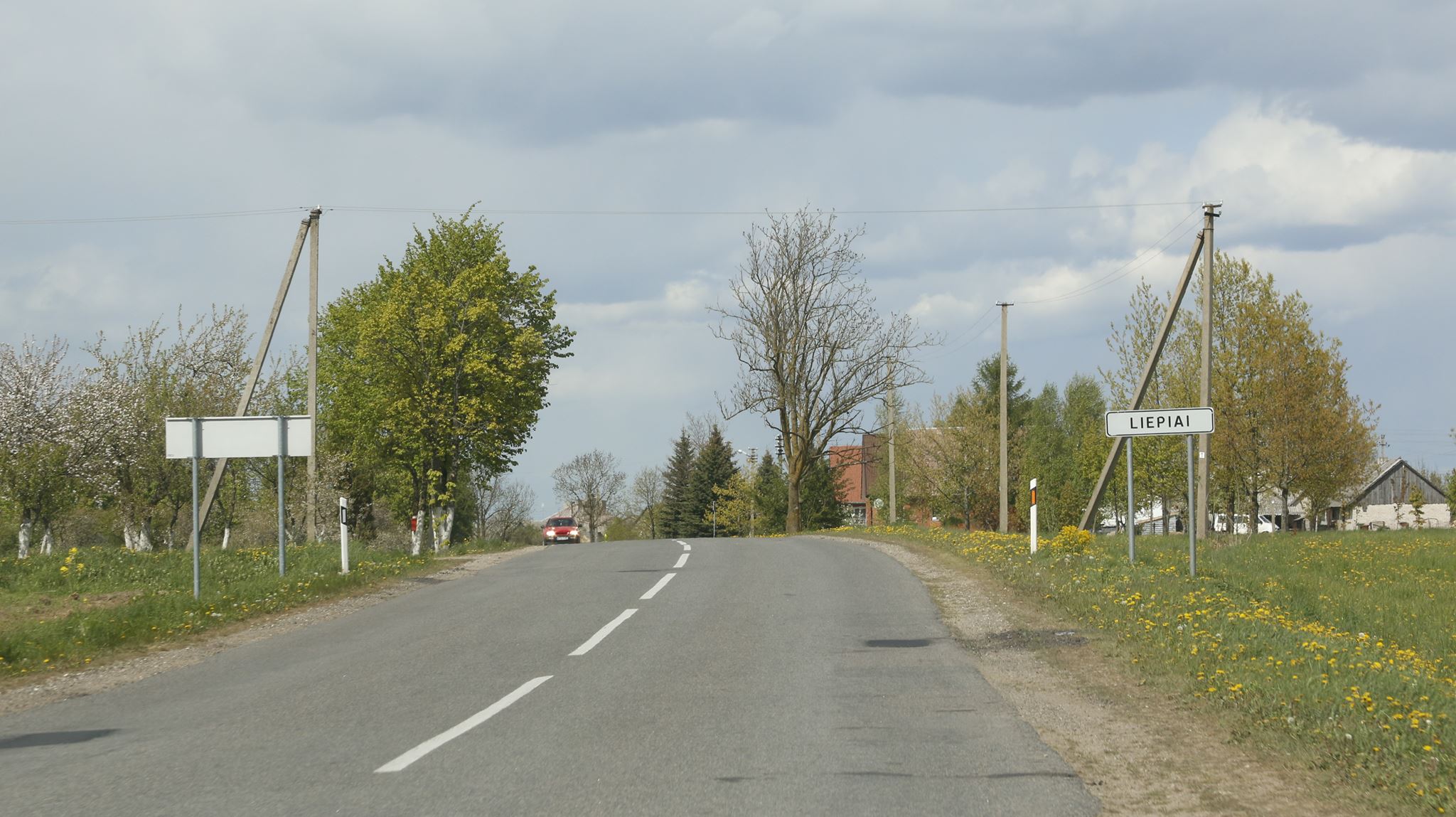 Arosha.lt - Šio šepetėlio šereliai pagaminti iš augalinio plaušo ...