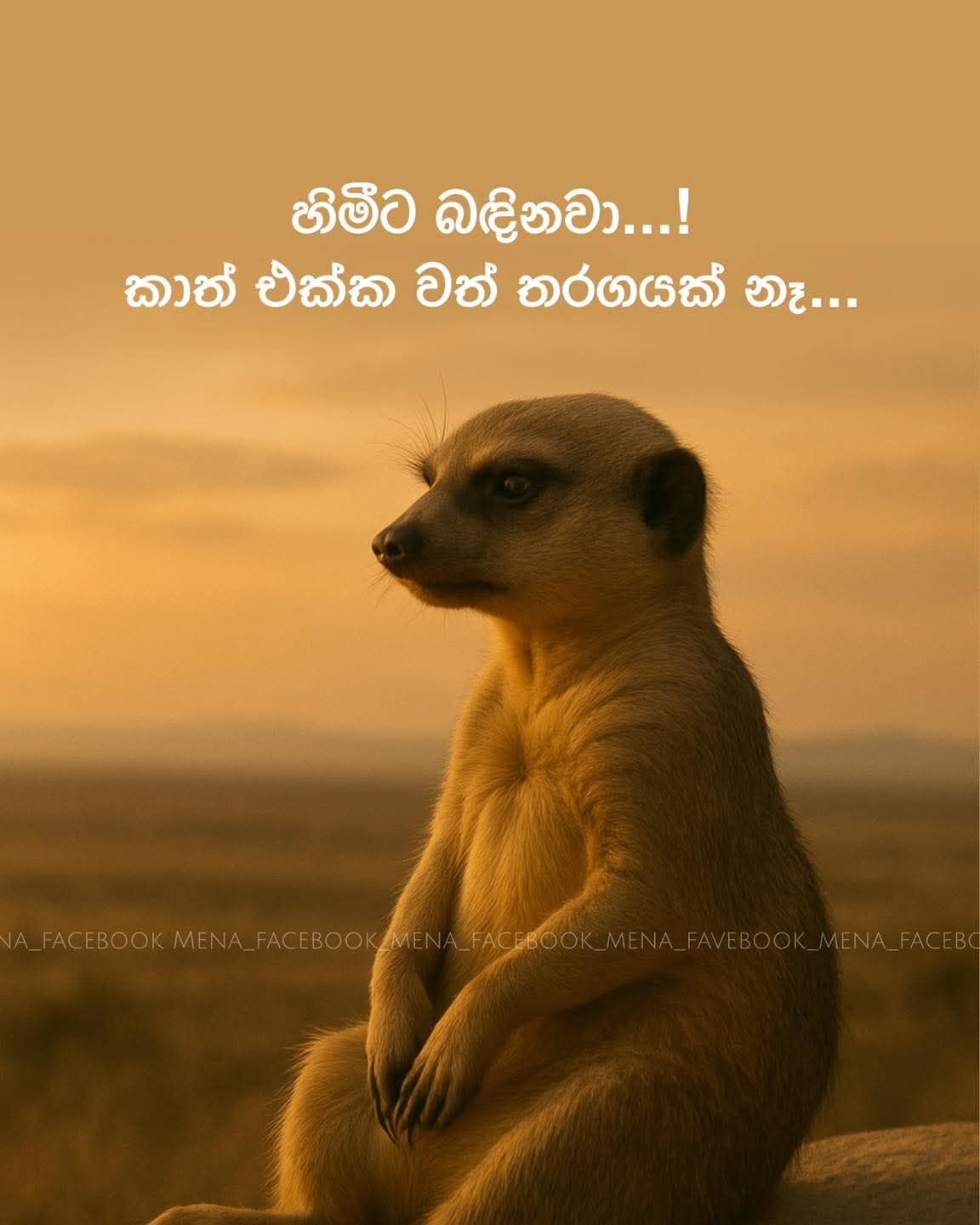 Senaka Rajapaksha