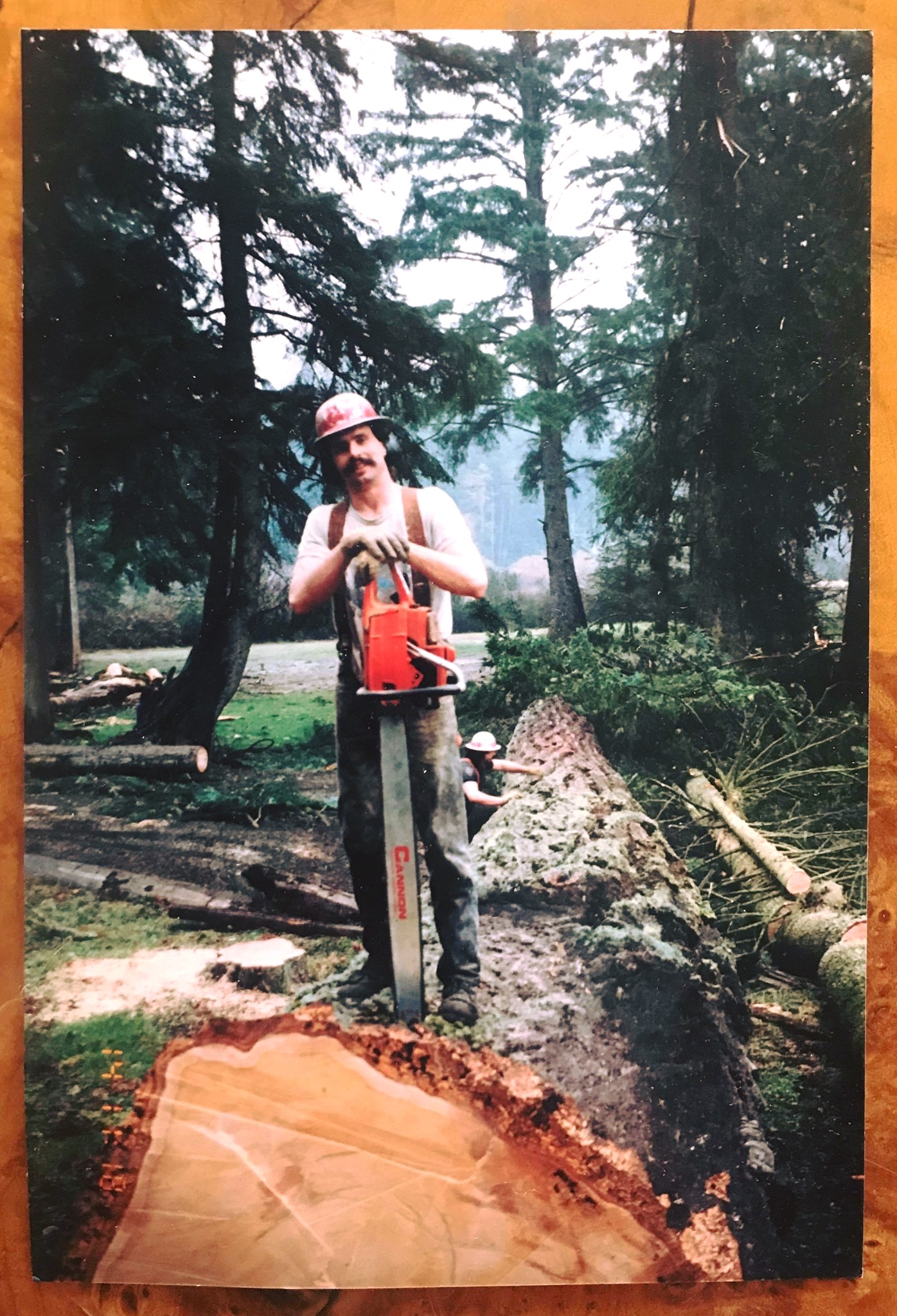 Here's to... - Competition Tree Service & Contracting
