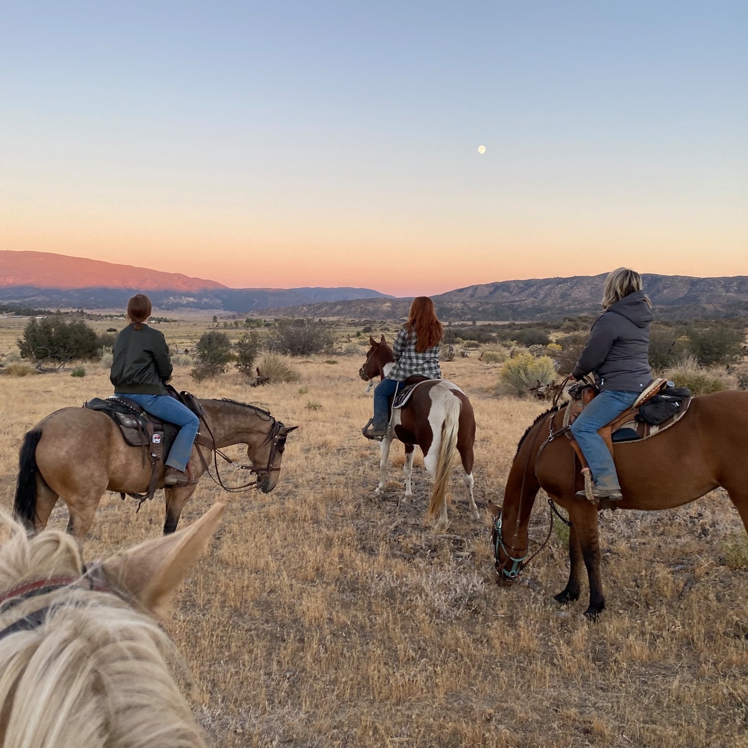 3 Kings Ranch