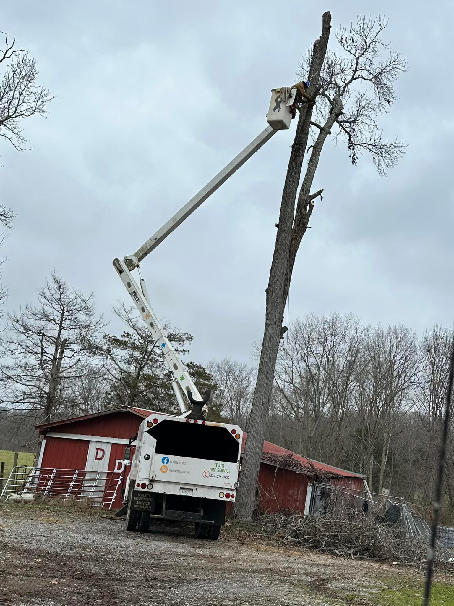 TJ’s Tree Service