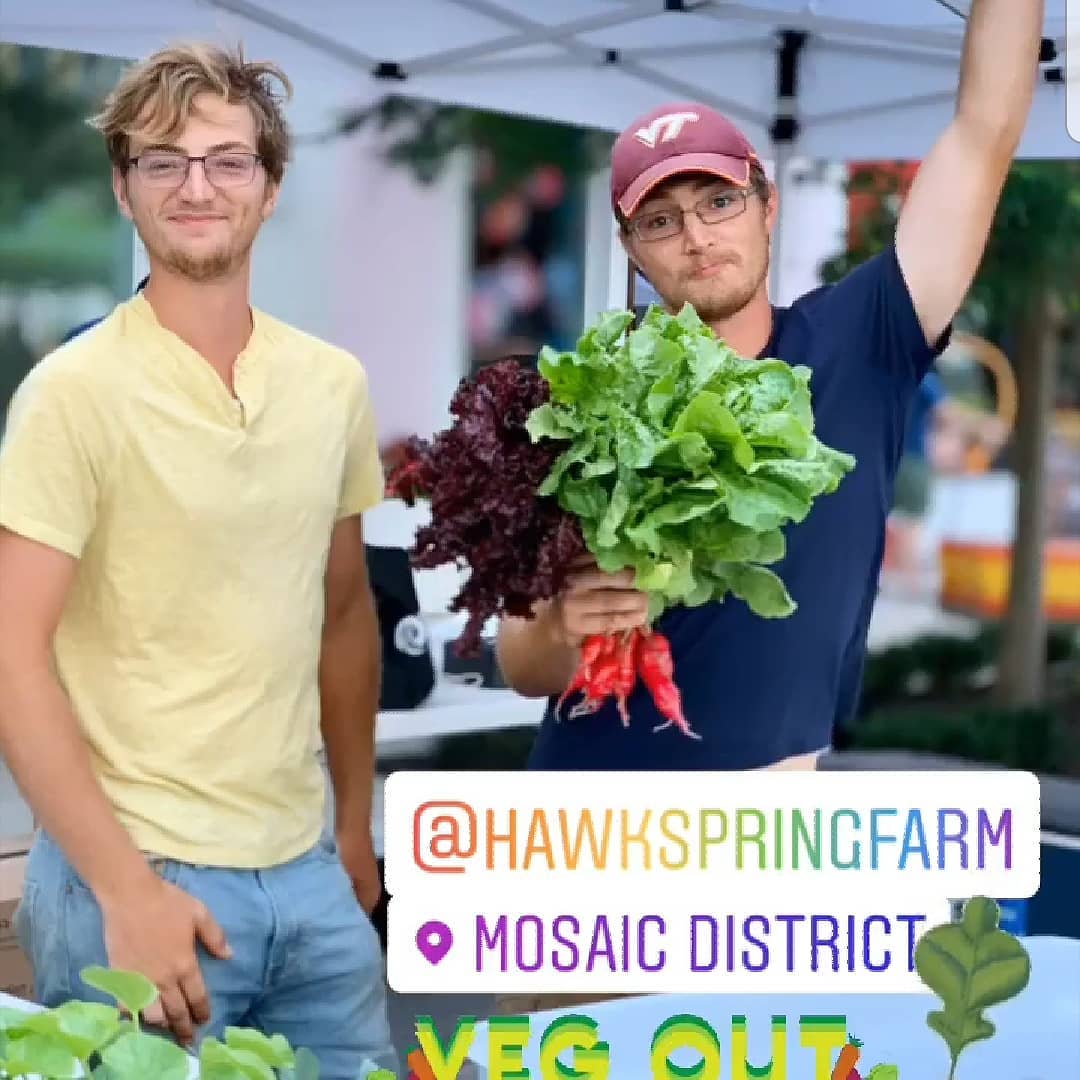 Hawk Spring Farm | Clarksburg MD
