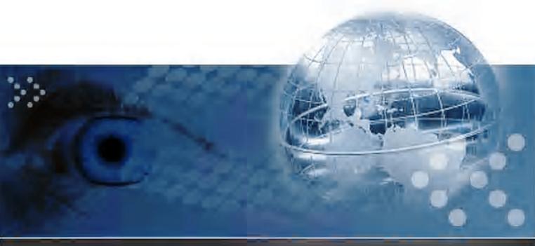 Global VIP 3000