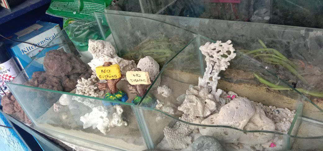 Fish product/ aquarium | Mabalacat