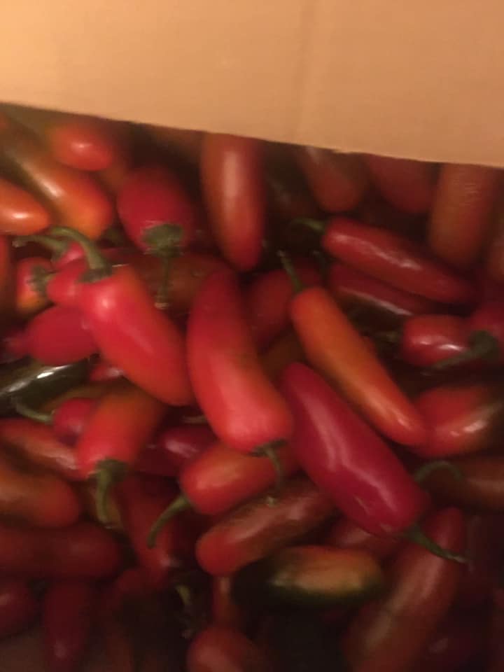 Roasting Chile - Food - Glendale, Colorado | Facebook Marketplace ...