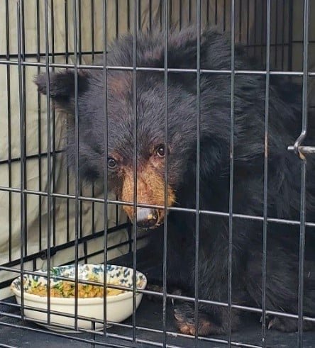 Turtle Ridge Wildlife Center | Lyons OR