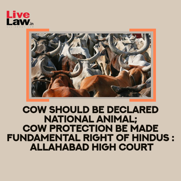 Live - Observing that cow should be declared as national animal and cow ...