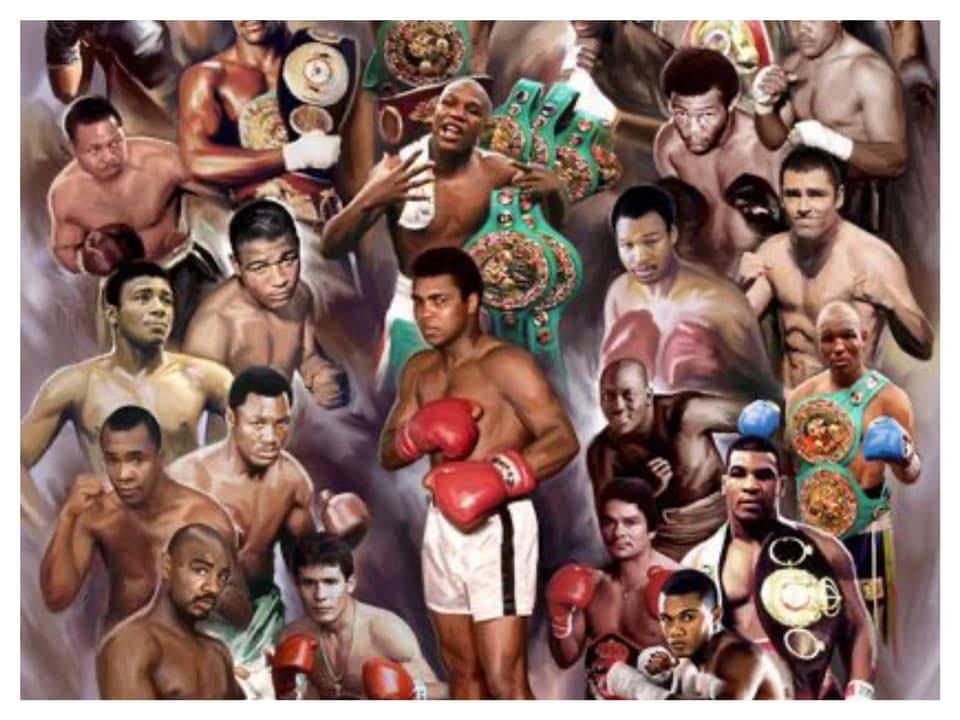 SXM Boxing