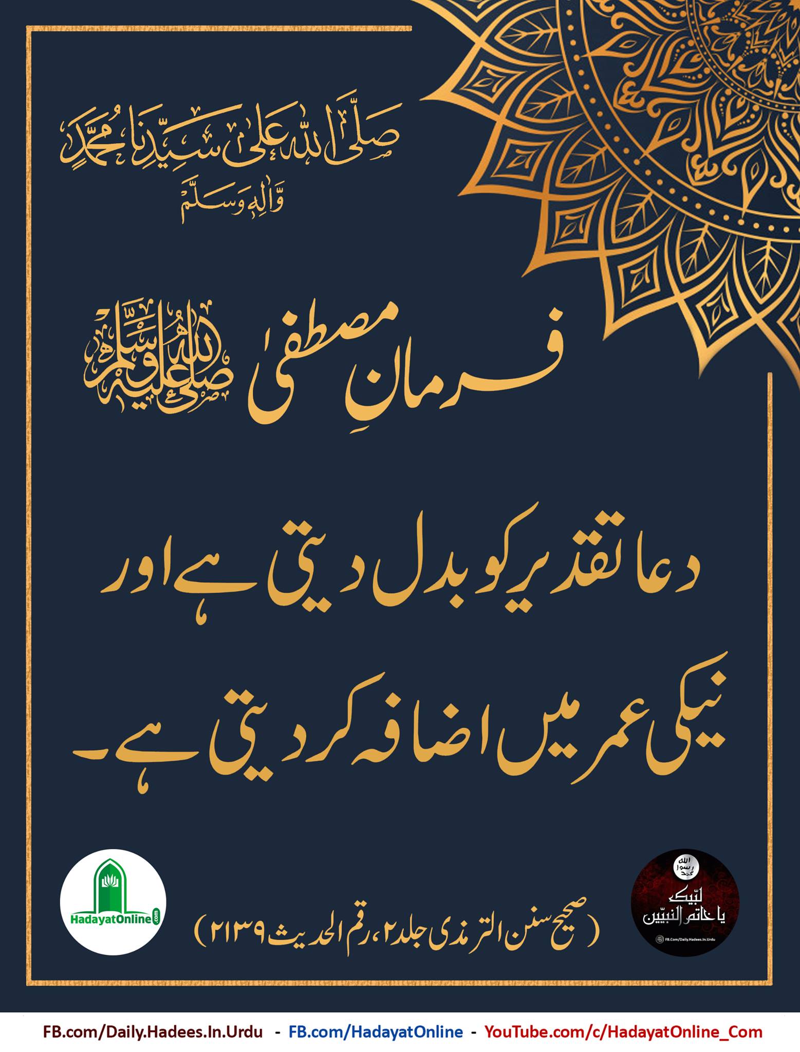 Hadith of The Day Sunan Al Tirmidhi... - Daily Hadees In Urdu | Facebook