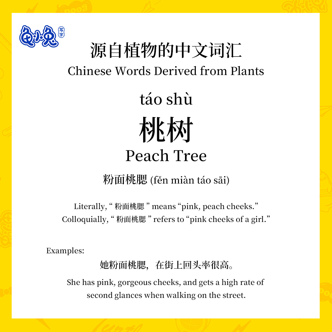 龟小兔写字 - The Commonly Used Chinese Words Derived from... | Facebook