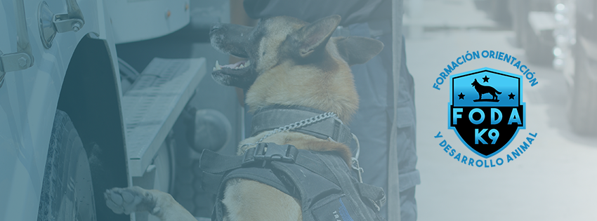 Expert K9 Advice added a new photo. - Expert K9 Advice