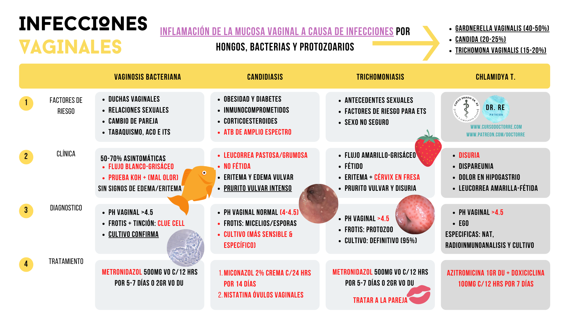 Dr. Re - ⚕️VAGINOSIS⚕️ Tema completo y flashcards solo por... | Facebook