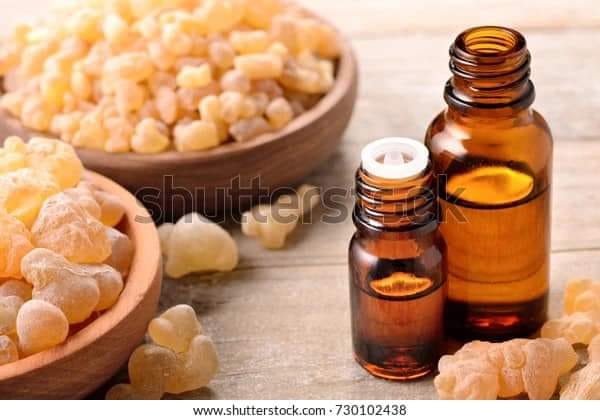 Anti-cervical carcinoma effect of Portulaca oleracea L